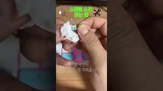 키보드 | 스테빌라이저 소음 잡기(feat 다얼유 A104pro)