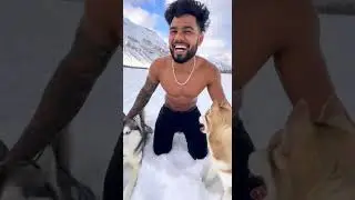 Life का सबसे खूबसूरत दिन | Husky Dogs in Snow #HuskyDogs #SnowLife #ai #funny