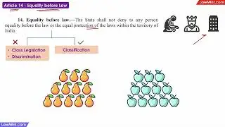 Article 14 Equal Treatment And Protection By The Law Constitutional Law LLB