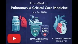 IPF Cough Treatment, Post&ndash;Cardiac Arrest Antibiotics, and CTEPH Surgery Care. TWPCCM