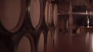 Hvar Island Wine Tours  - Hvar Tours DMC