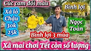 1-2-2026☎️0364016000📲mai chơi Tết xã rẻ 25k 30k có mã số cuối clip 