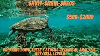 #NVIV-#MRIN-#NEOS-$500-$2000-Technical Analysis-Buy/Sell Levels