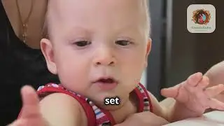 Choosing the Best First Foods - 6 - Baby Food & Teething