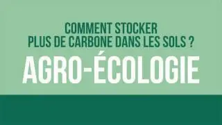 4 pour 1000, les sols agricoles pour la s&eacute;curit&eacute; alimentaire et le climat