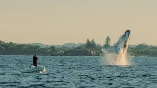 Framed by Nature with Craig Parry | Reveling
