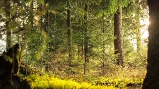 Roussinoff - Endless / Relaxation and Stress Relief at 432Hz