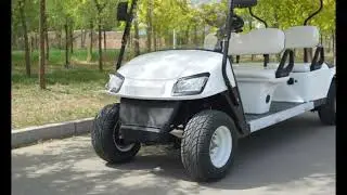 4 passengers lifted golf buggy,electric golf cart for sale,golf carts Price, China Factory
