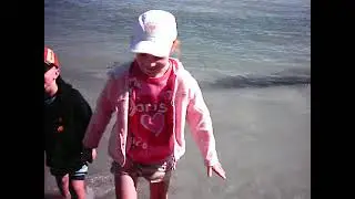 Dolphin feeding at Monkey Mia, WA