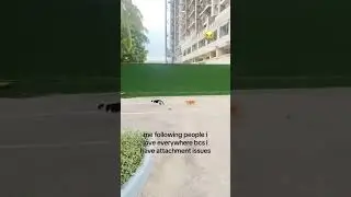 Following prvnci an average day in the life of Kittyo