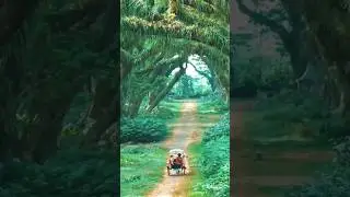 nice scene. #shortsfeed #viral #nice #scene