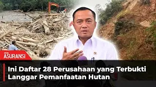Prabowo Cabut Izin 28 Perusahaan Terbukti Melanggar Pemanfaatan Hutan