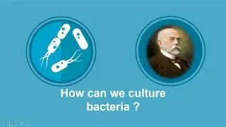 general microbiology-- culture media