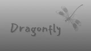 Dragonfly - a poem about transformation and rebirth #poetry #spiritualawakening #inspirational