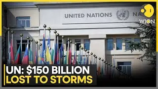 UN Declares Decade of Action as Dust Storms Threaten 330 Million People Worldwide | WION
