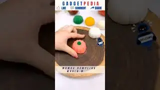 🥟Momo's Dumpling Maker 🥟#shorts #dumplings #youtubeshorts #ytshorts ( Product 134 )