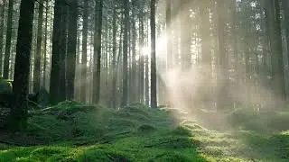 5-Minute Guided Morning Mindfulness Meditation &ndash; Focused, Calm & Centered