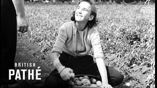 Potato Trailer (1949)