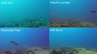 Comparatif filtres rouges de plong&eacute;e pour GoPro