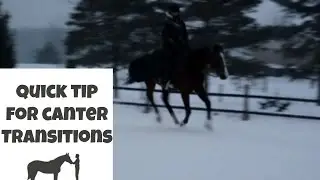 A Quick Tip for Canter Transitions with Pentland