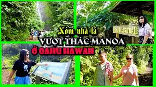 Xóm nhà lá vượt Thác Manoa ở Oahu Hawaii