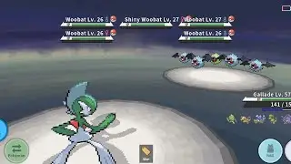 Shiny Wombat Encounter + Catch (PokeMMO)