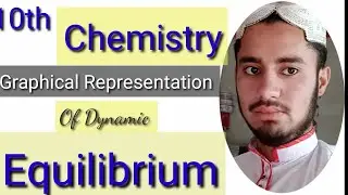 Graphical Representation Of Dynamic Equilibrium