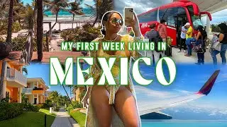 my boring first week living in Mexico: is that the CARTEL? i broke out into hives