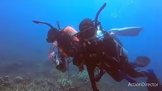 Pulau Tioman 14/05/25 ( Advanced Open Water & Specialty Diver Course ) 🦈 Babysharkscuba 