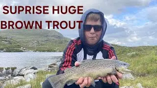Fly fishing for Huge brown Trout in Lough Barfinna in CO.Kerry- filmed on the DJI osmo action 5 pro 