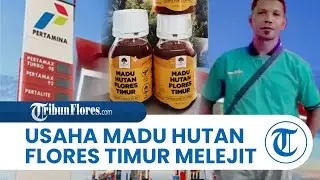 Usaha Madu Hutan di Flores Timur Melejit Berkat Pinjaman Pertamina Bunga Rendah