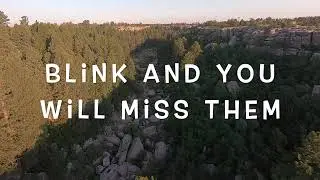 Powered Paragliding Bloopers