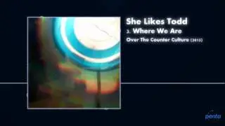 She Likes Todd - Where We Are