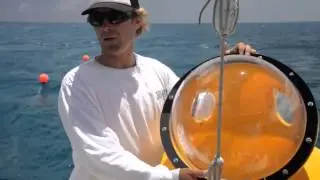 Oahu Underwater Scooter diving!!!