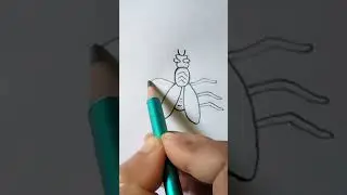How To Draw Fly #drawfly #housefly #drawing #easydrawing #kidsdrawing #drawingtutorial