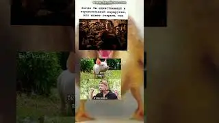 #рек #memes #мем #мемы #funny
