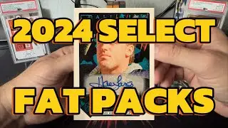 💥 2024 SELECT FAT PACKS 💥