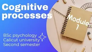 cognitive processes |module 1|2nd semester | calicut university @psycornerr #bscpsychology