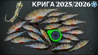 ЛЕСОТКА ЛУЧШАЯ БЕЗМОТИЛКА|ПЕРВАЯ КРЫГА 2025-2026❄