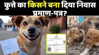 Patna DOG Residential Certificate: Bihar में कुत्ते का बना दिया निवास प्रमाण-पत्र..नाम 'डॉग बाबू'