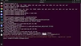 Installer Django dans un container docker