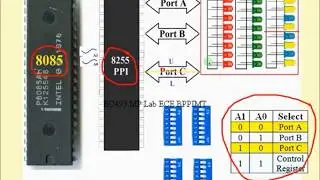 8255 Programmable Peripheral Interface (PPI) | Program using IN/OUT instructions | Part-1