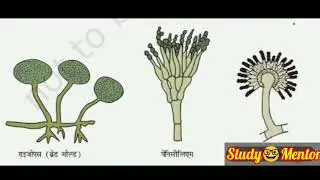 📚Ch-2 Microbe:Friend & Enemy🔥New NCERT Science Book⭕Net,JRF,Reet,CET,Ctet,RPSC,RSMSSB,UPSC,SSC,Bank#