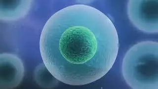 Where Did Viruses Come From
