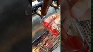 Sawmill Raspberry Berliner Weiss