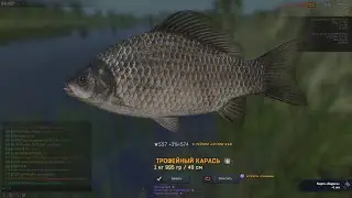 Fisher Online ГЕРМАНИЯ КАРАСЬ ( там же и плотва и голец усатый клипса 10 )