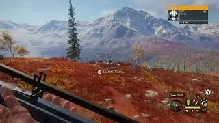 theHunter: Call of the Wild hunting with the hudzik 50 caplock