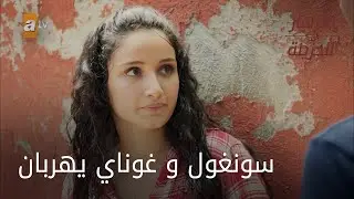 سونغول و غوناي يهربان - الحلقة 41 - الأزهار الحزينة