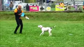 Woodbridge Fair Woofjocks Frisbee Freestyle