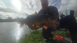 Listopadowe karpie z niewielkiego łowiska/ Robin Red Method Mix